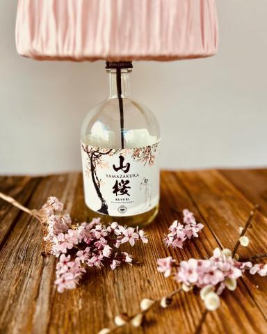 Cherry Blossom
