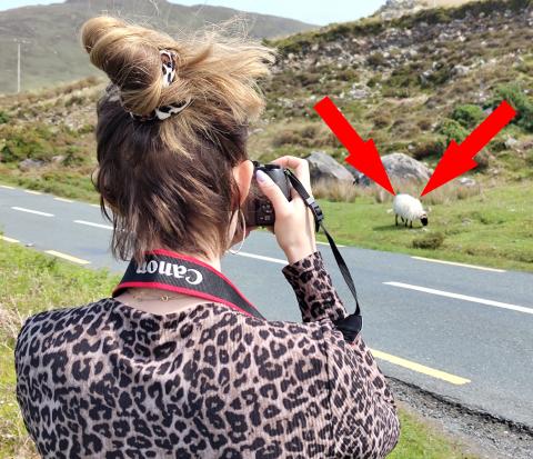 Daniele fotografiert ein Schaf !!